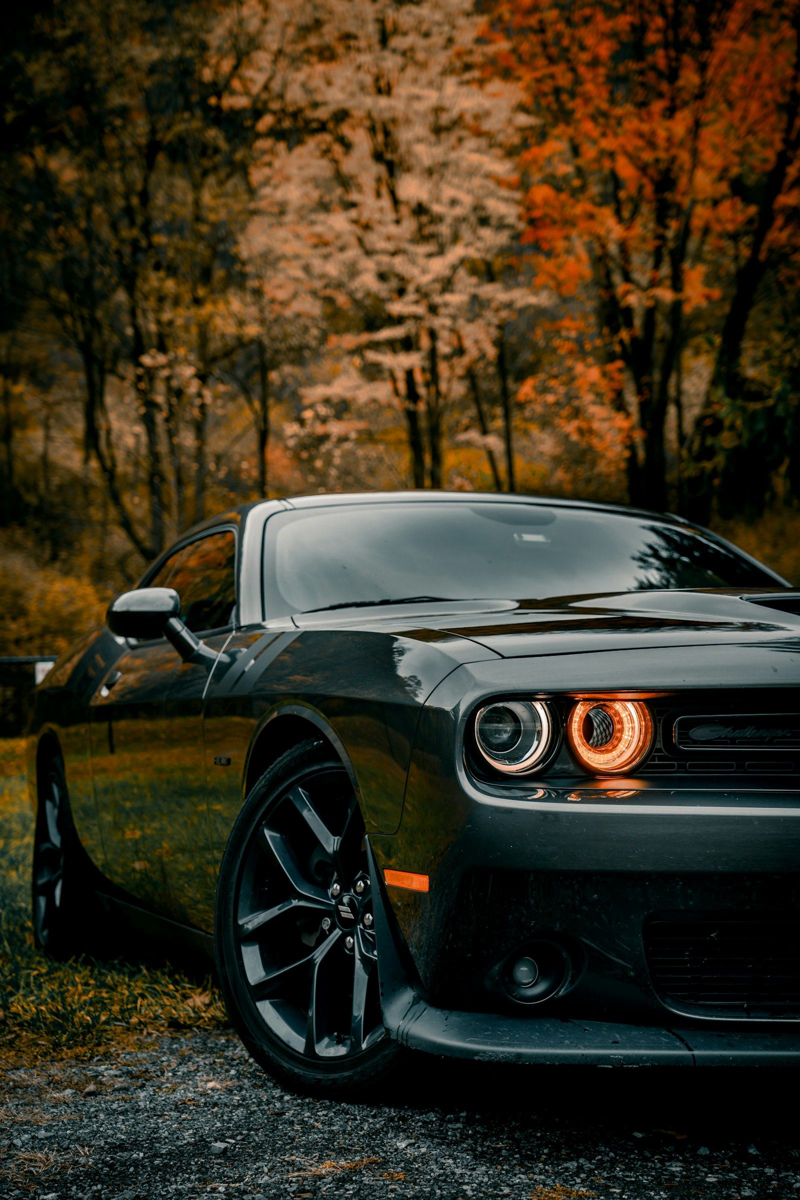 Dark grey Dodge Challenger with tinted windows
